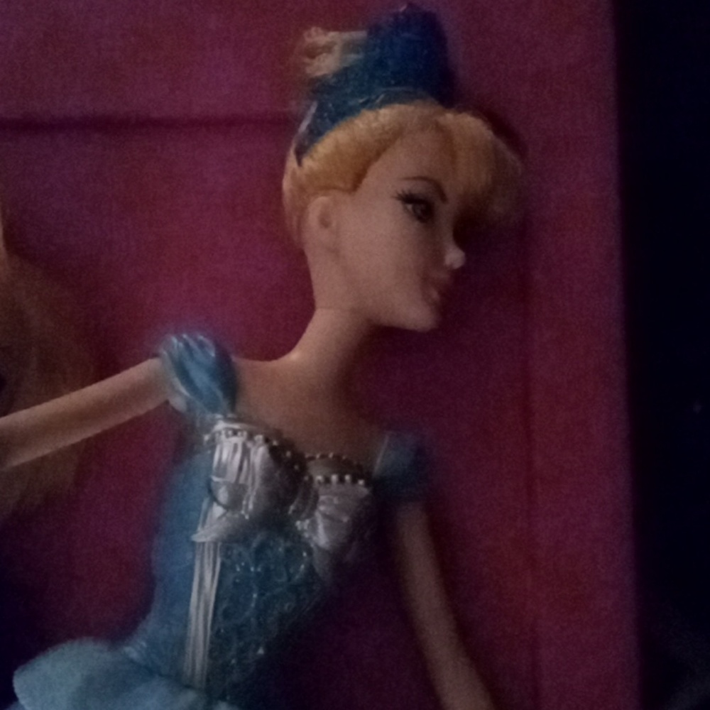 Meet your Posher, Lisa